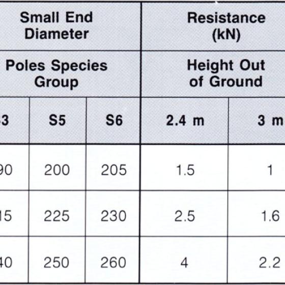 Bracing resistance of single poles