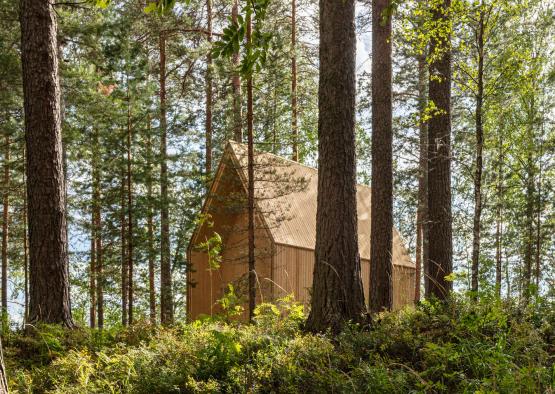 a house in the woods