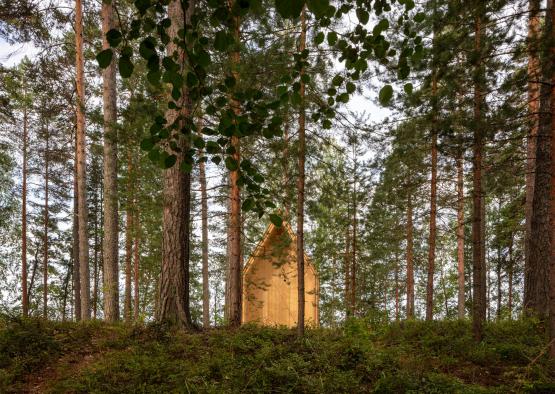 a cabin in the woods