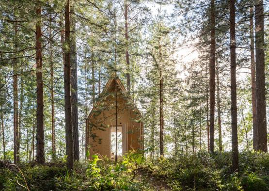 a house in the woods