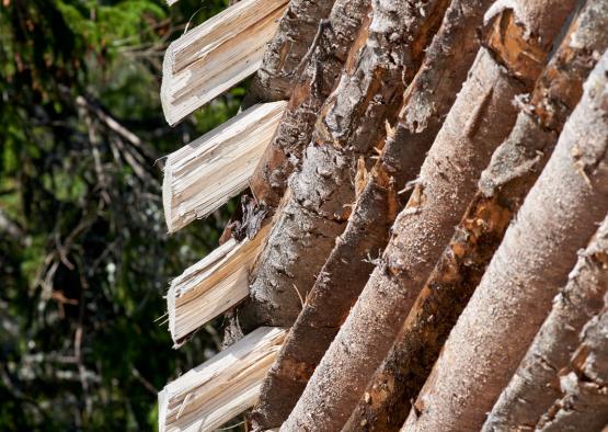 a close up of a log roof