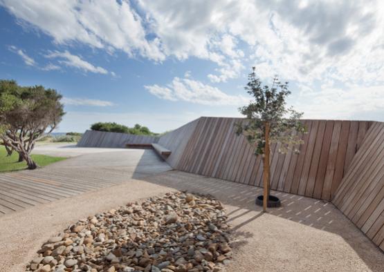 a tree in a gravel area