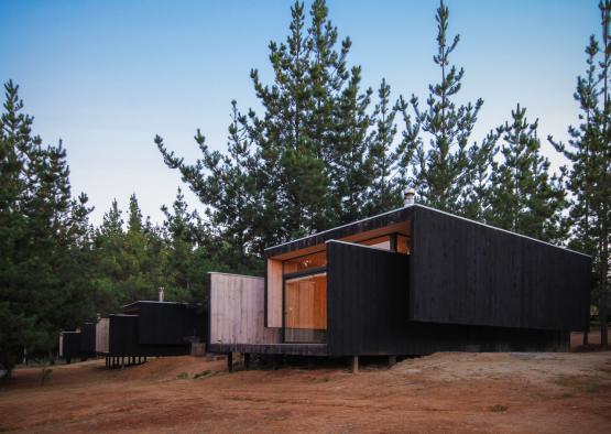 a row of black houses with trees in the background