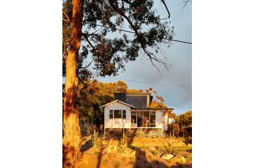 a house with a tree in the background