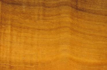 a close-up of a wood grain