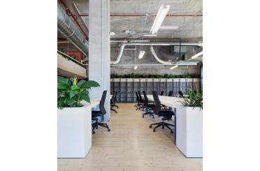 a room with a large planter and tables